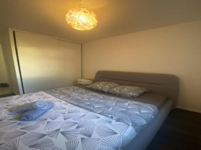 Apartment in Toulhouse with parking